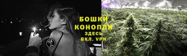 синтетический гашиш Медвежьегорск