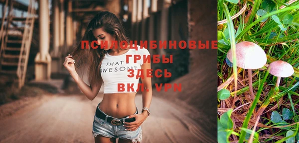 твердый Михайловка